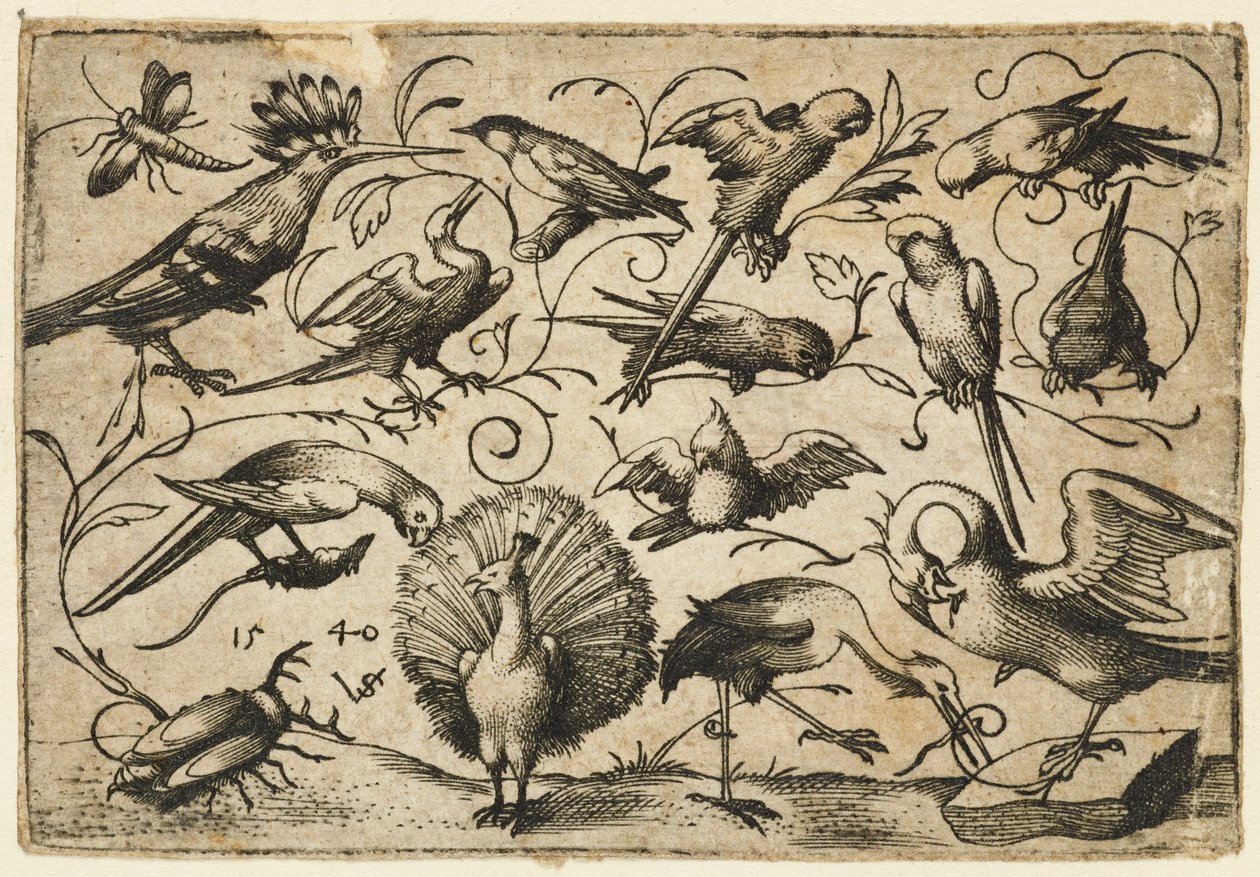 Bir leylek, bir pelikanın bacağına bir dal bağlamış, küçük yaprak dalları üzerinde on kuş..., 1540. by Virgil Solis