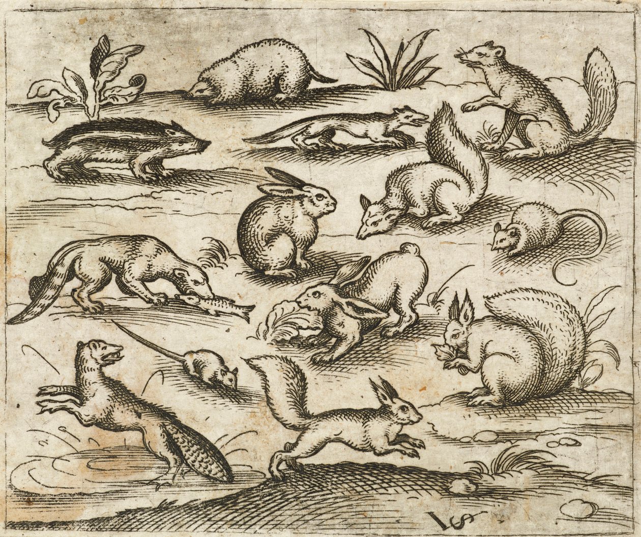 Douce Ornament Prints Albüm I