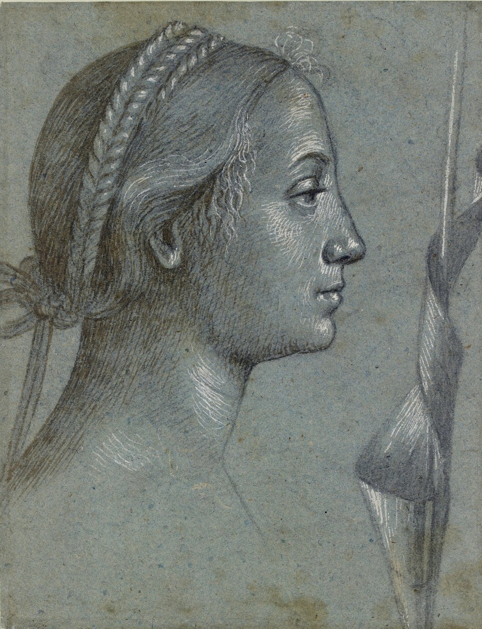 Bir Kutup çevresinde flama yarası olan bir Kadın Başı, 15. yüzyılın sonlarında by Vittore Carpaccio