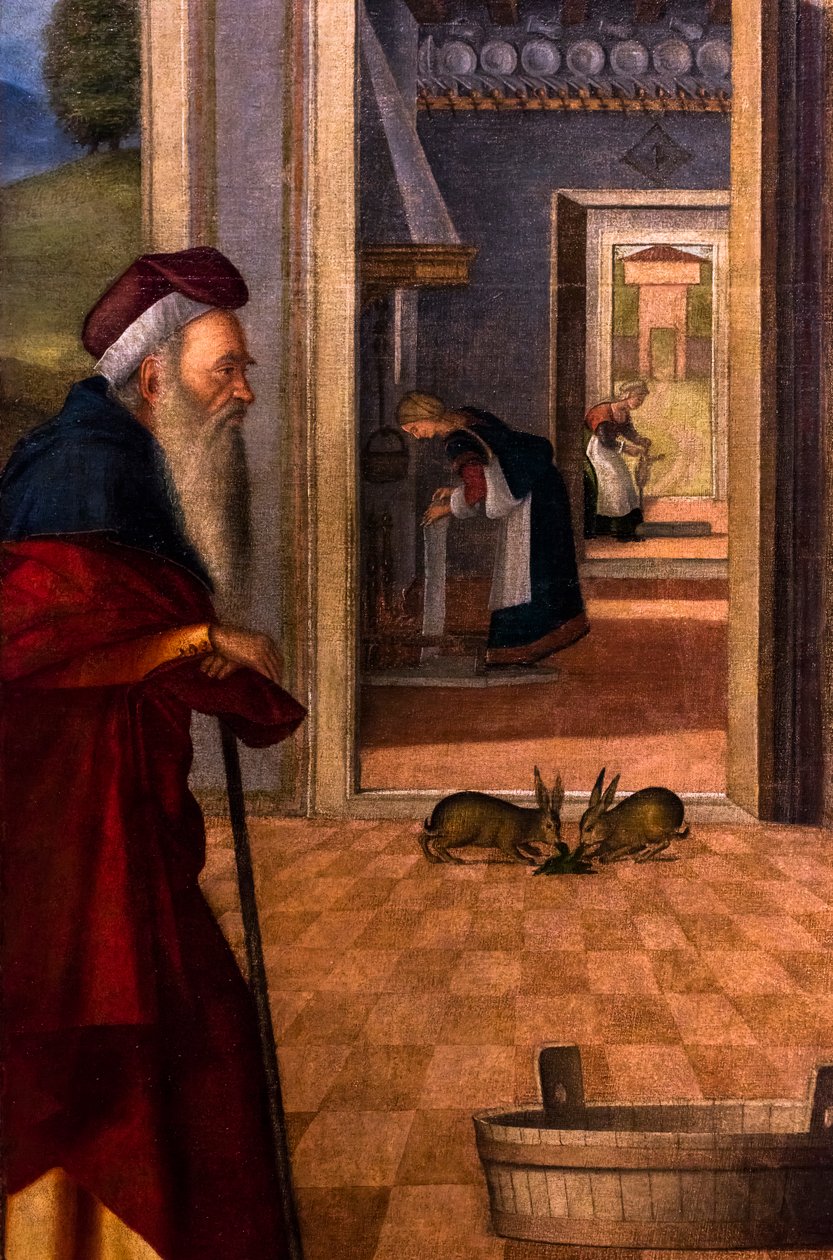  by Vittore Carpaccio