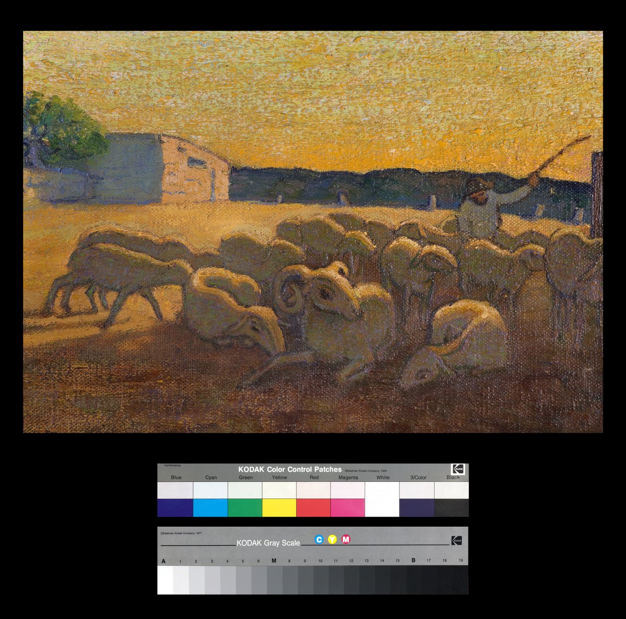 Koyun ile gün batımı by Vittorio Bolaffio