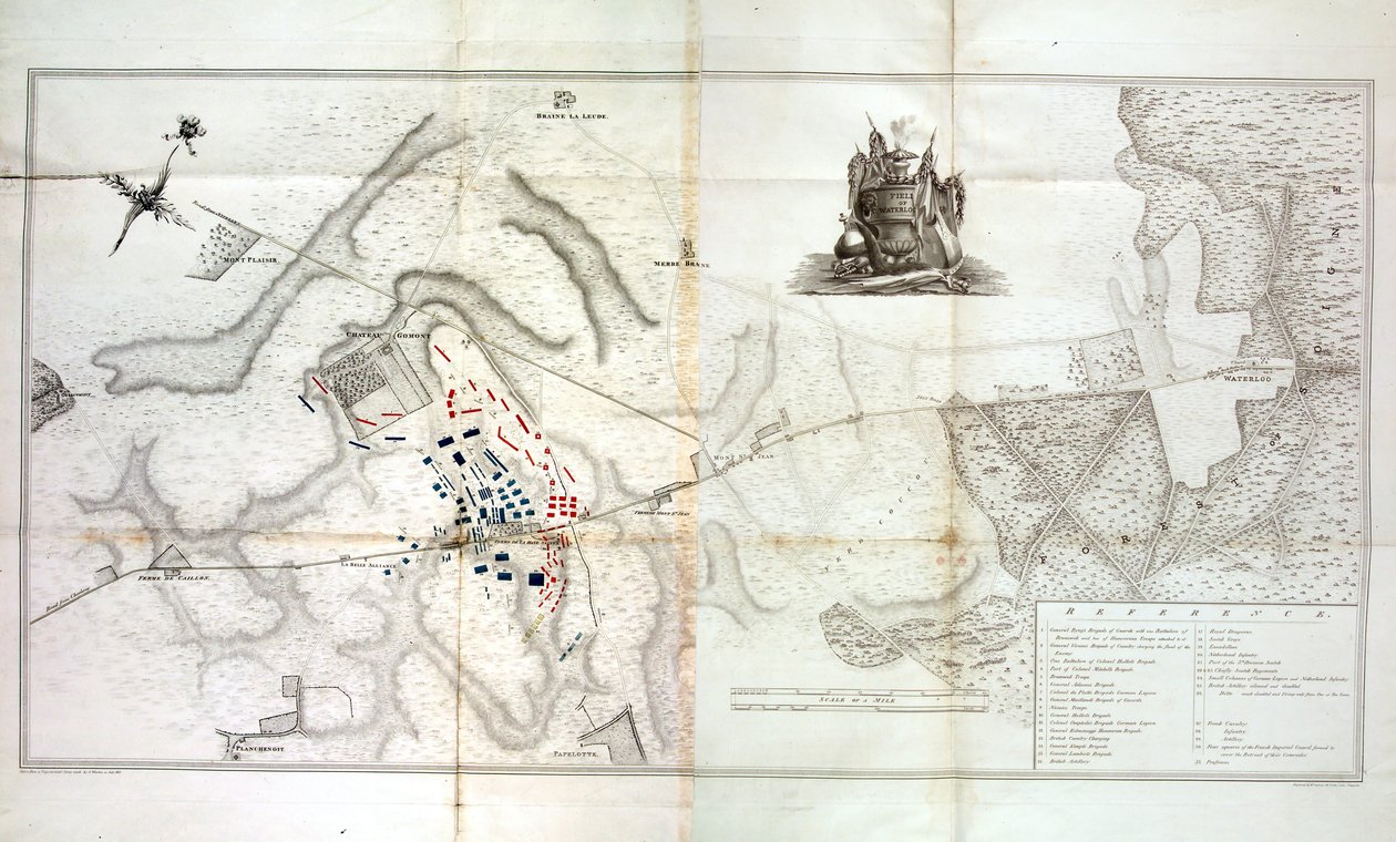 Waterloo Tarlası, c.1820 by W. Jackson