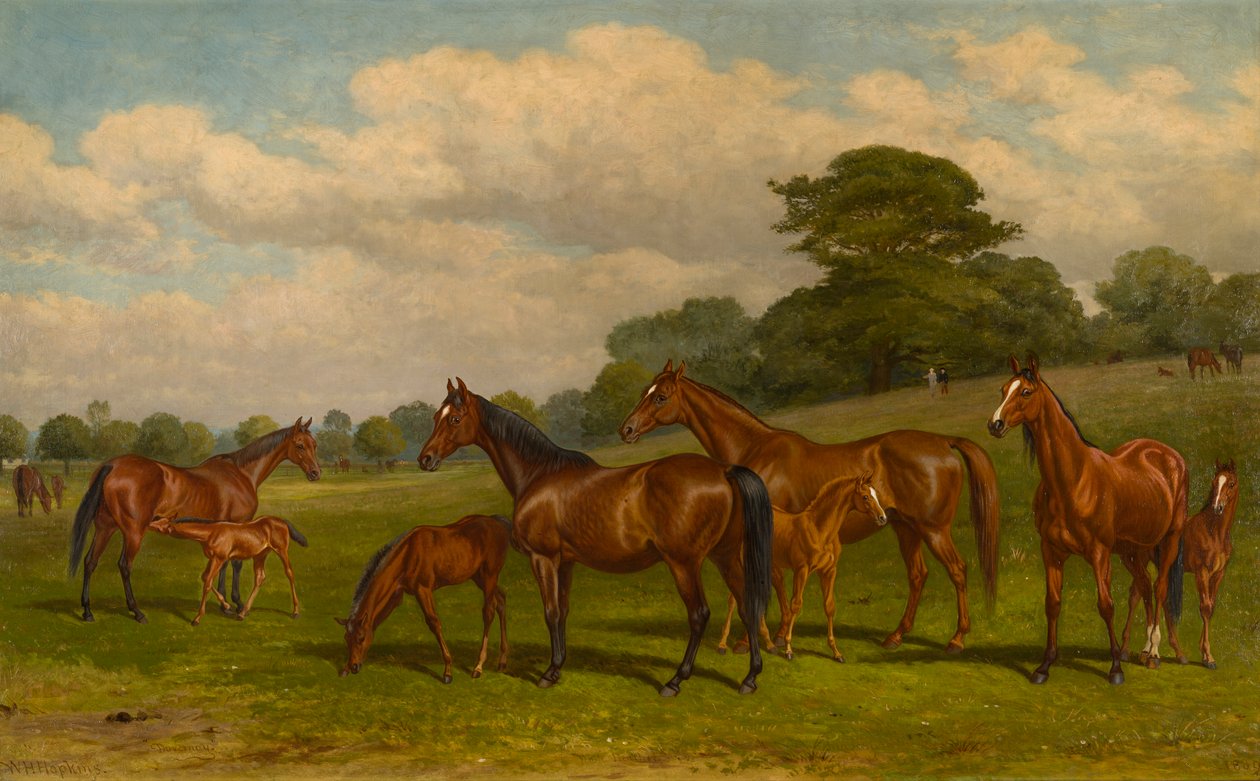 Mares ve Foals, c.1892 (tuval üzerine yağlı boya) by W.H. Hopkins