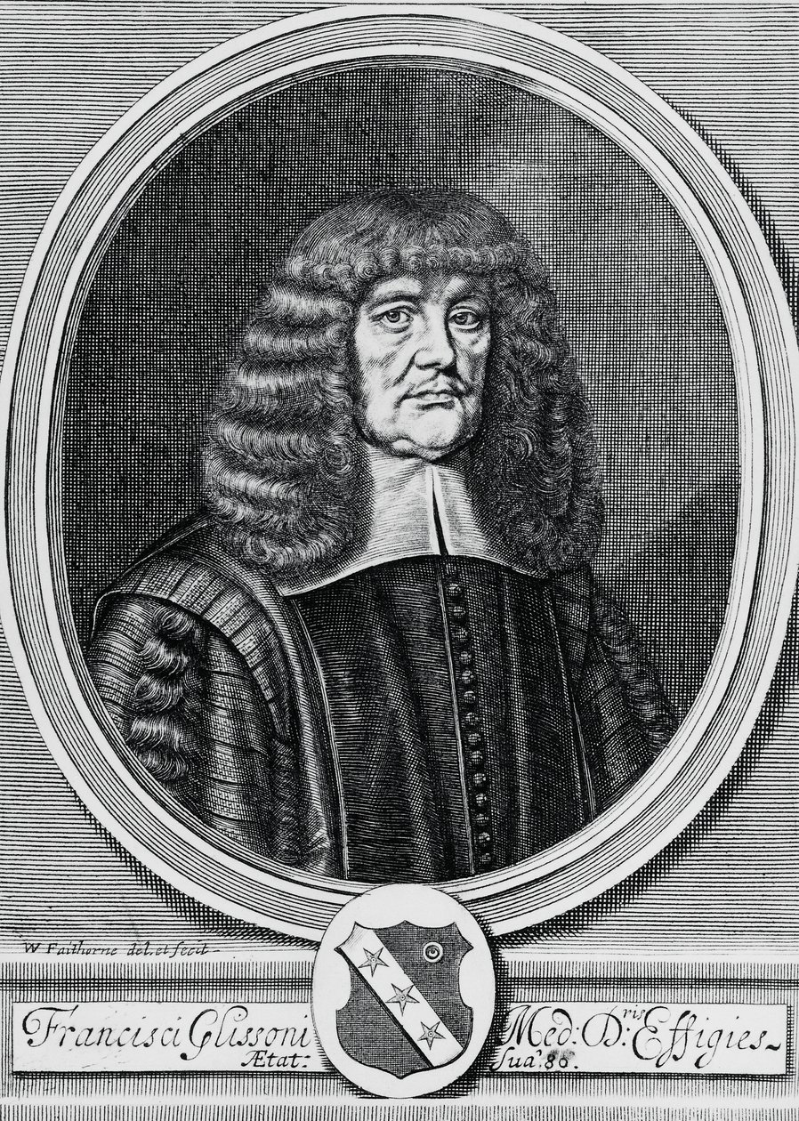 Francis Glisson