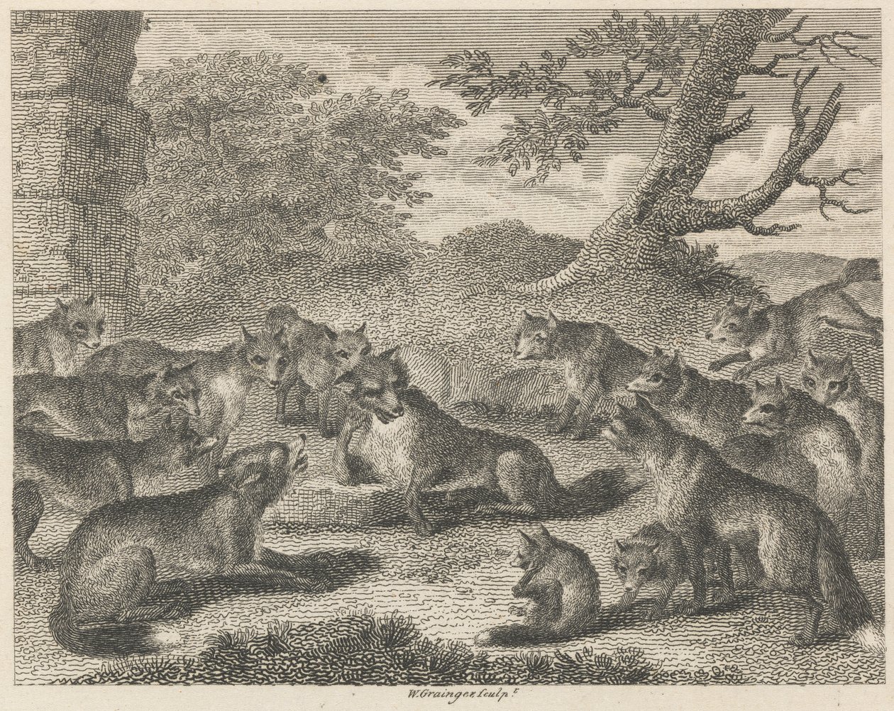 Ölüm Noktasındaki Tilki by W. Grainger