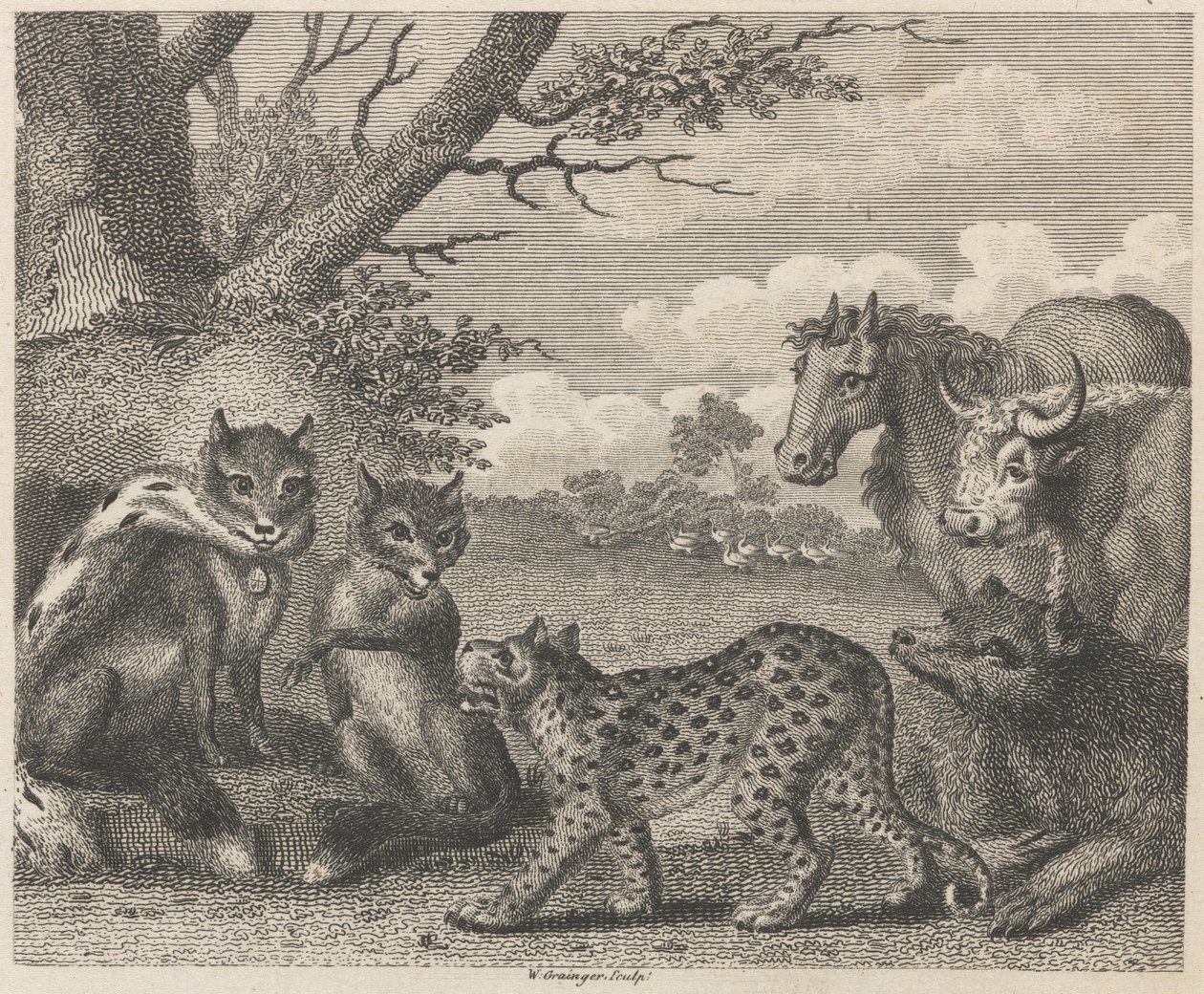 Aslan, Tilki ve Kazlar by W. Grainger