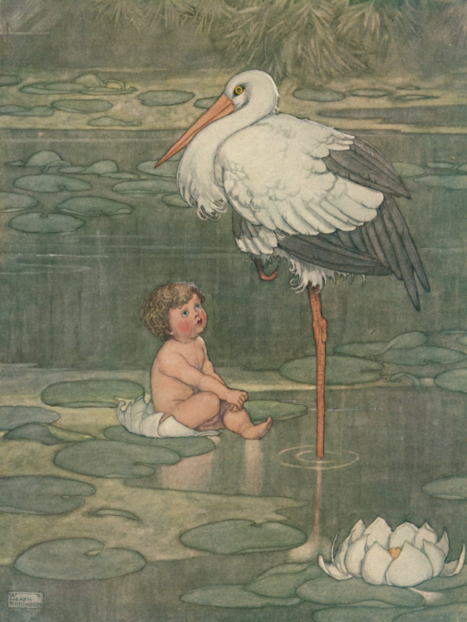 Dolu Bir Çiçeğe Açılan Tomurcuk, c1930 by William Heath Robinson
