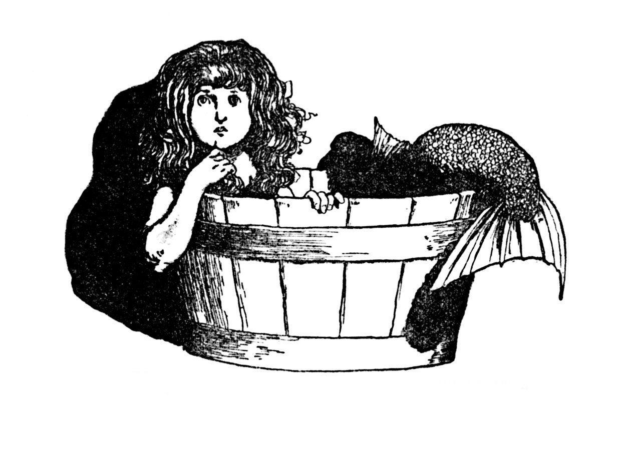 Kendilerini Evlerinde Hissetmişler, c1930 by William Heath Robinson