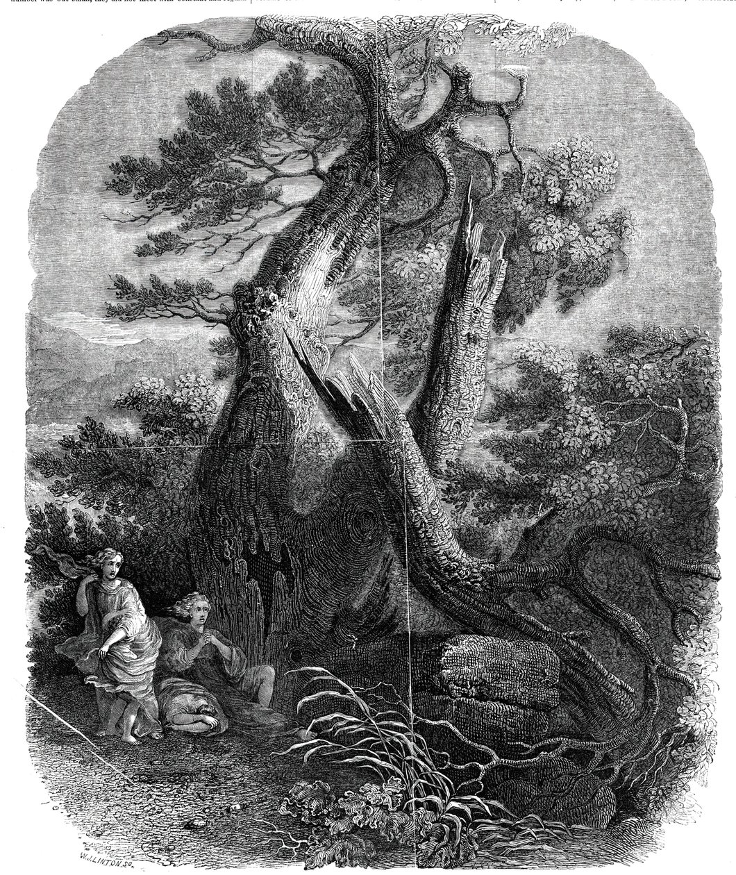 Ahşap oyma örneği, Niobe