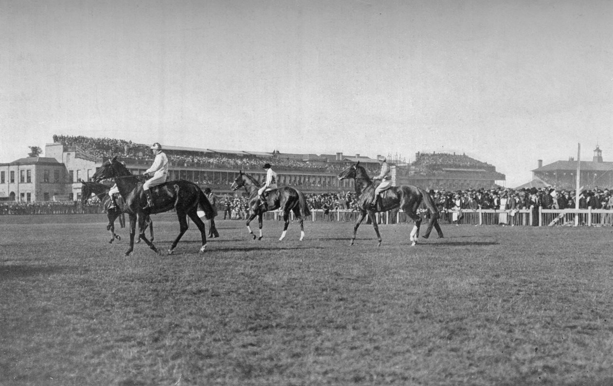 Doncaster Standının Önünde St. Leger Atları, c1901, 1903 by W. W. Rouch