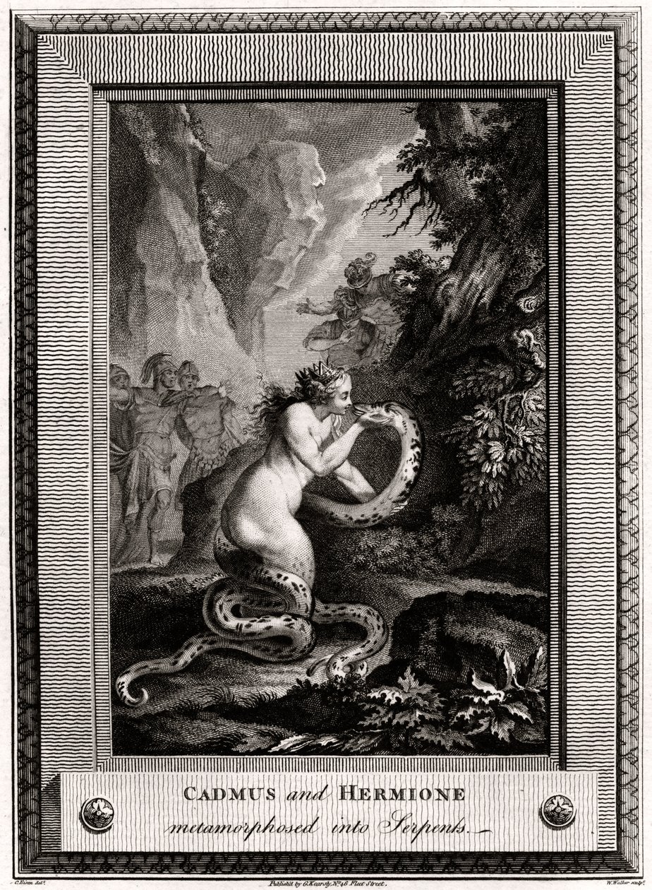 Cadmus ve Hermione, Yılanlara dönüşmüş, 1776 by W. Walker