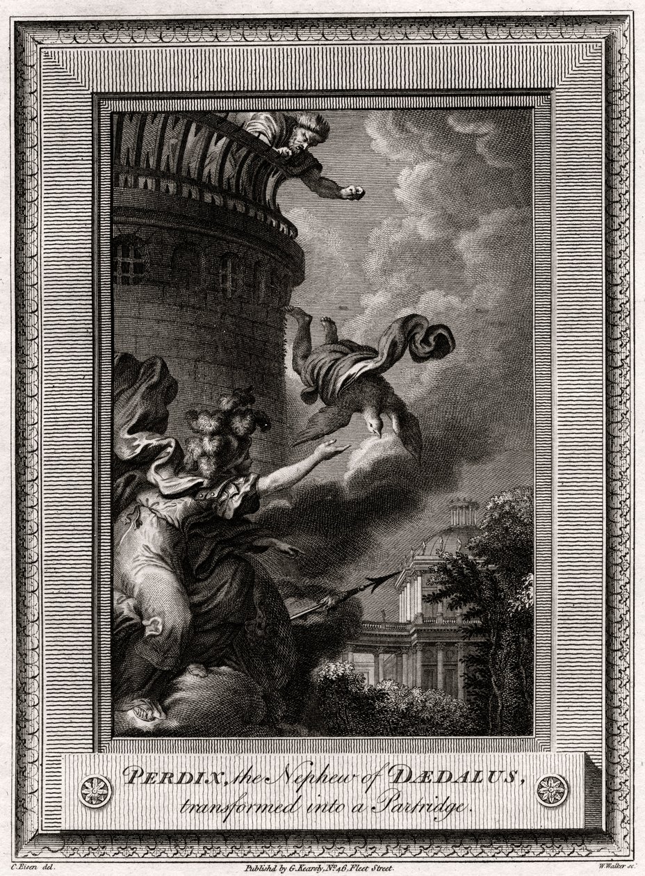 Daedalus