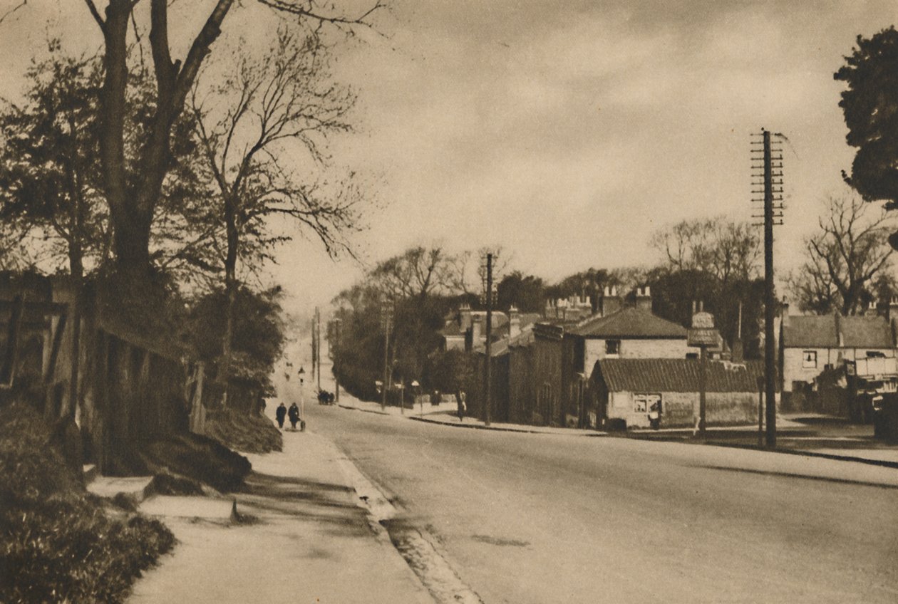 Dover