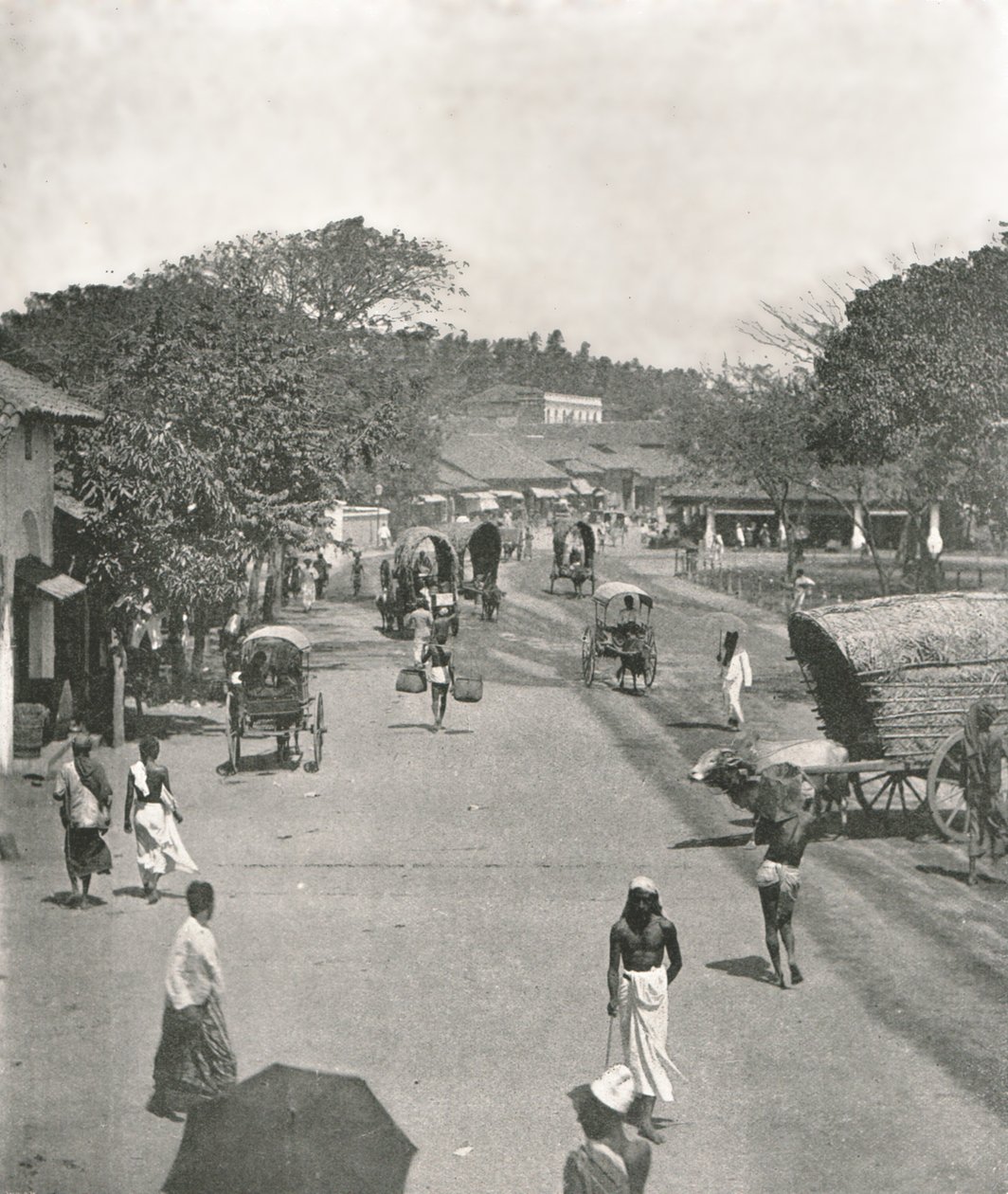 Belediye Binası yakınlarındaki sokak sahnesi, Colombo, Seylan, 1895. by W and S Ltd