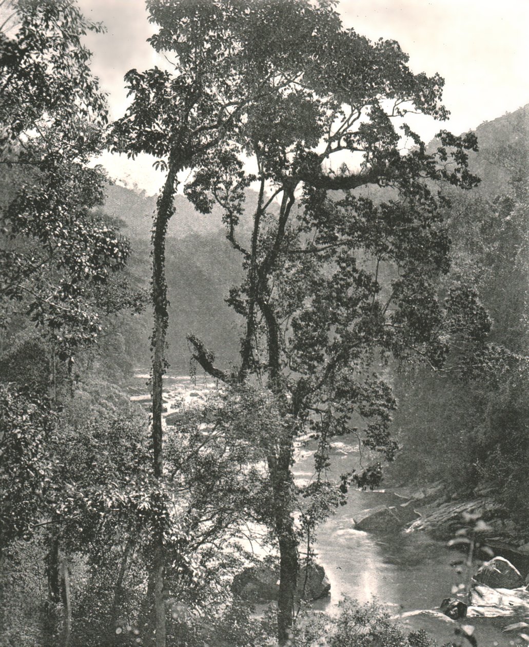 Kelani Nehri manzarası, Kurunegala, Seylan, 1895. by W and S Ltd