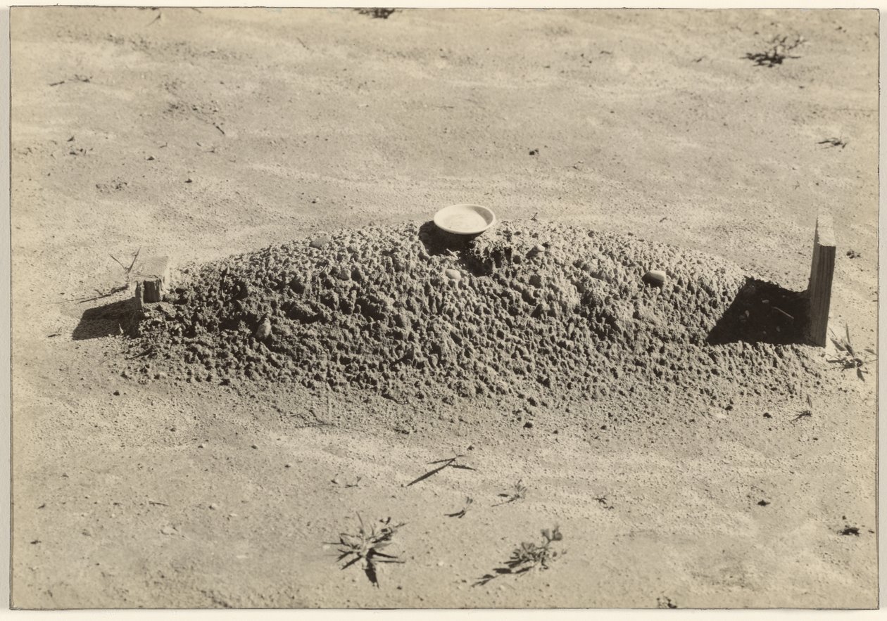  by Walker Evans