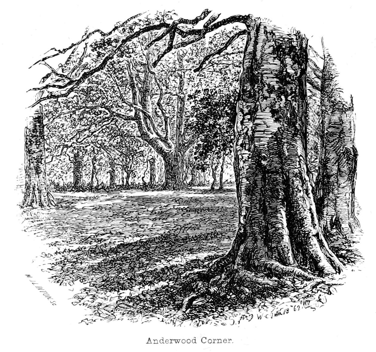 Anderwood Köşesi by Walter Crane