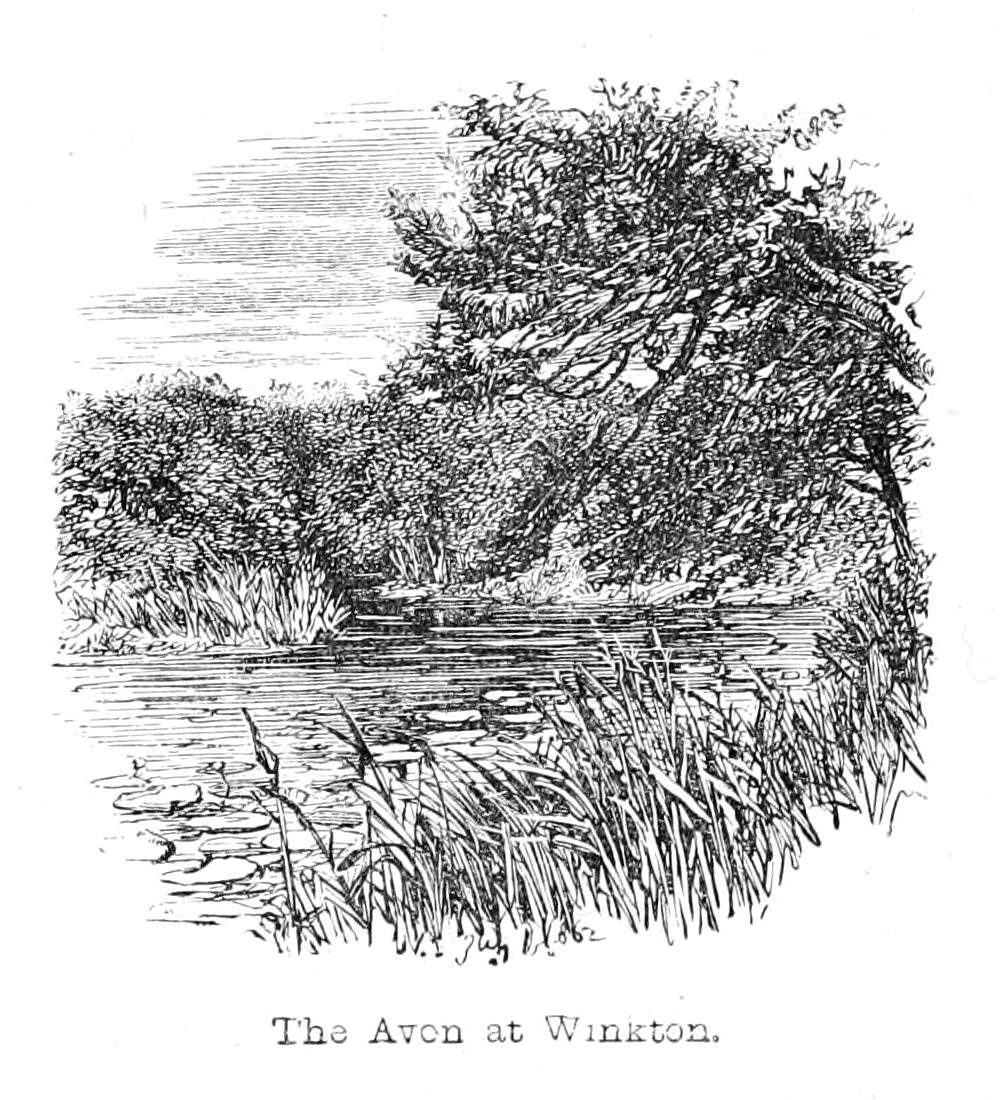 Avon, Winkton