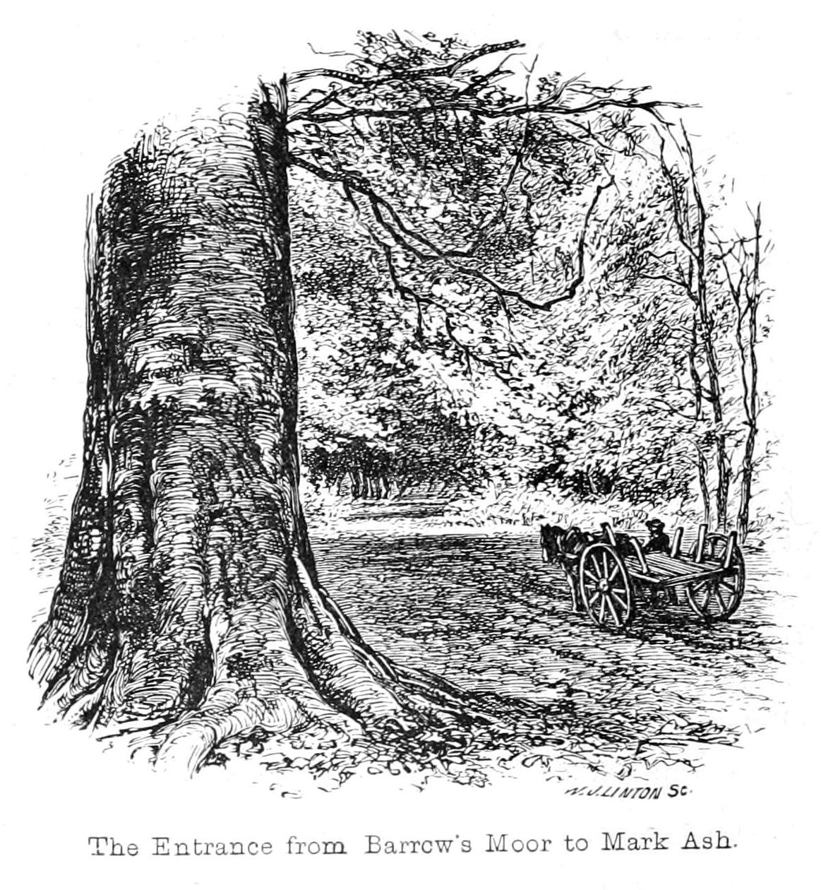 Barrows Moor