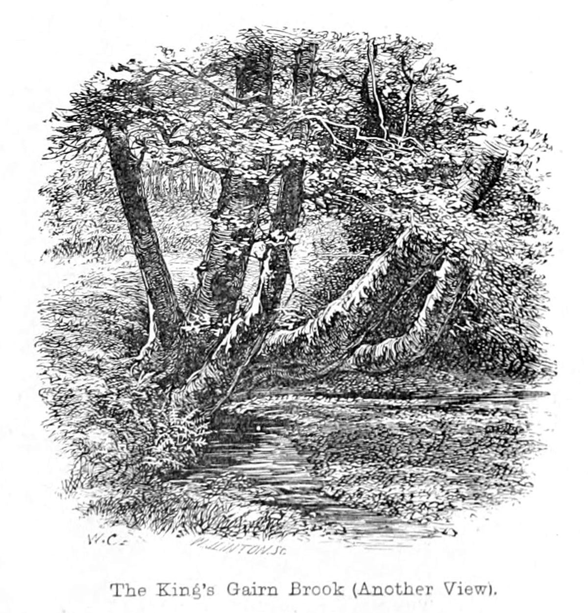 Krallar Gairn Brook by Walter Crane