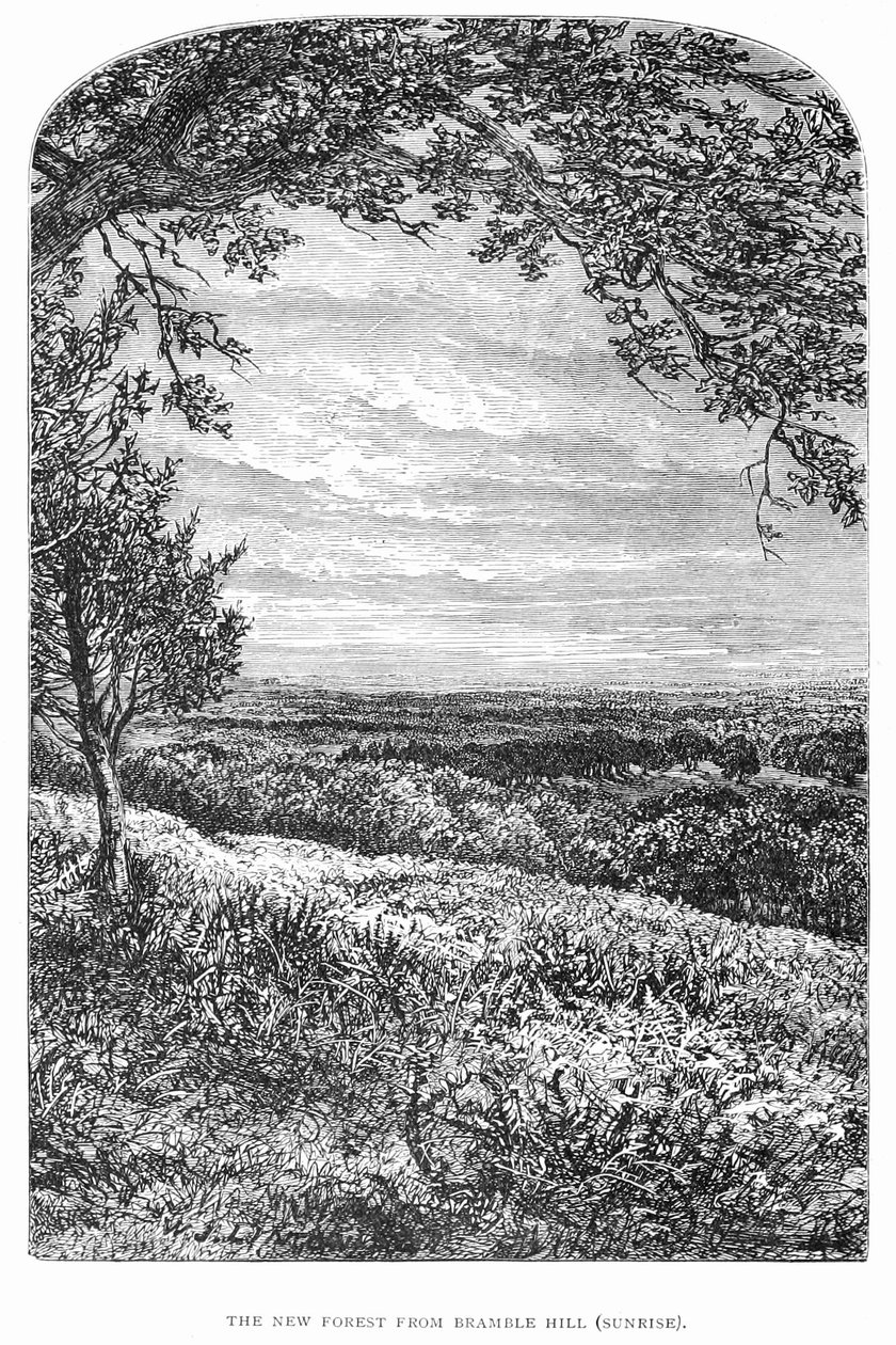 New Forest, tarihi ve manzarası by Walter Crane