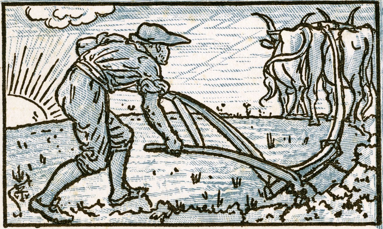 The Ploughman, 