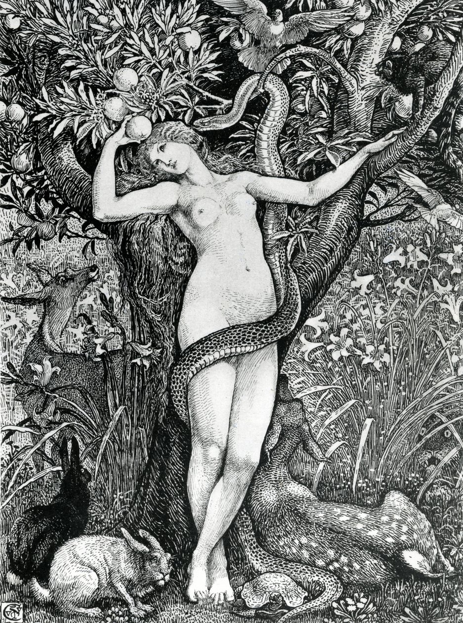 Havva