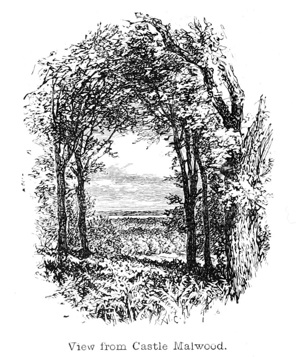 Castle Malwood