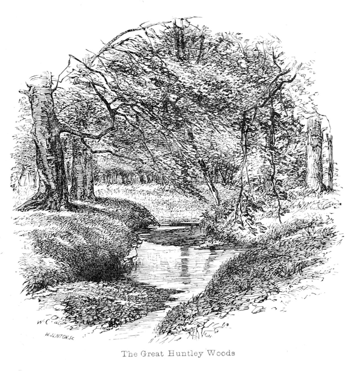Great Huntley Woods