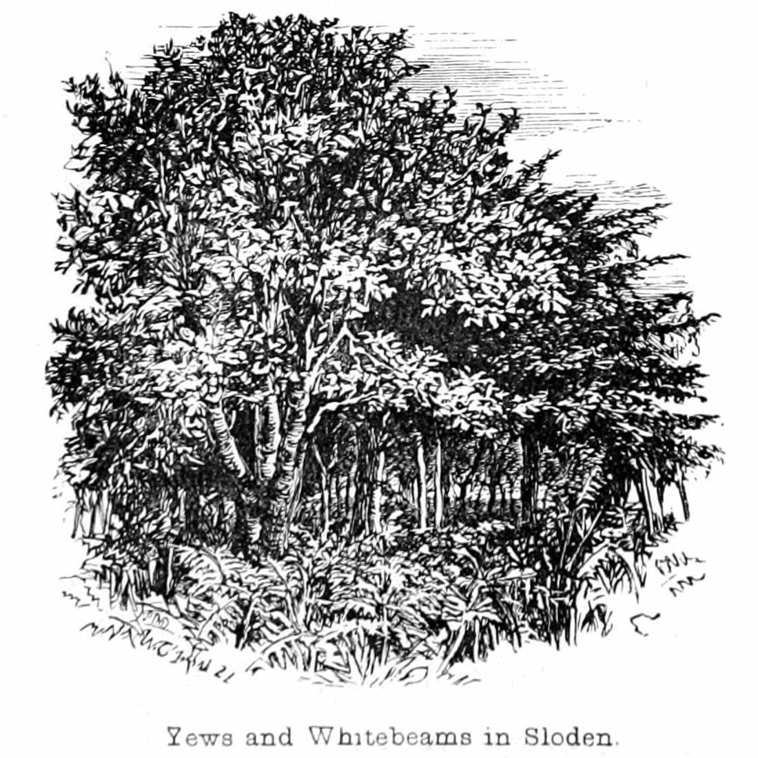 Sloden