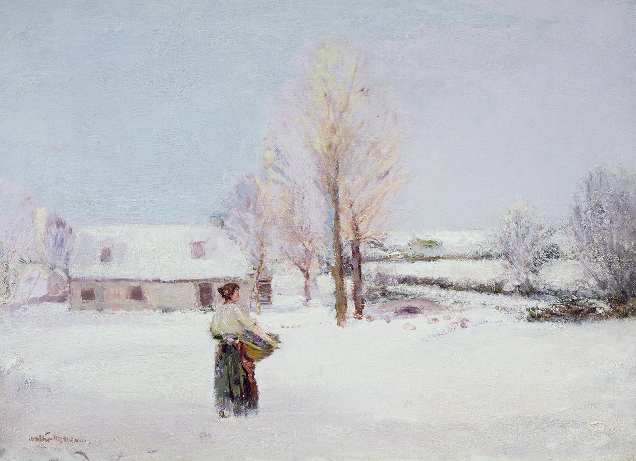 Karda Yürümek by Walter McAdam