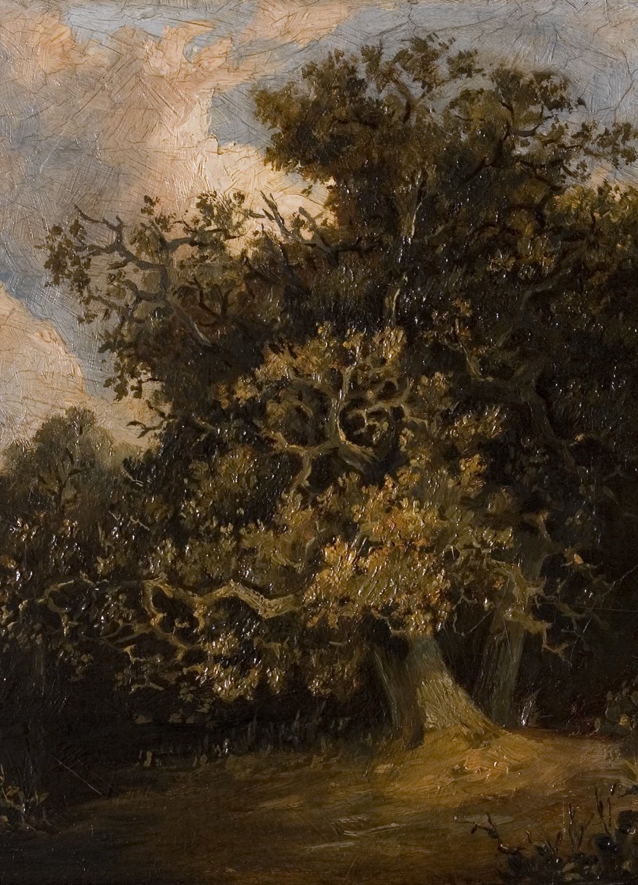 Meşe ağacı by Walter Scott