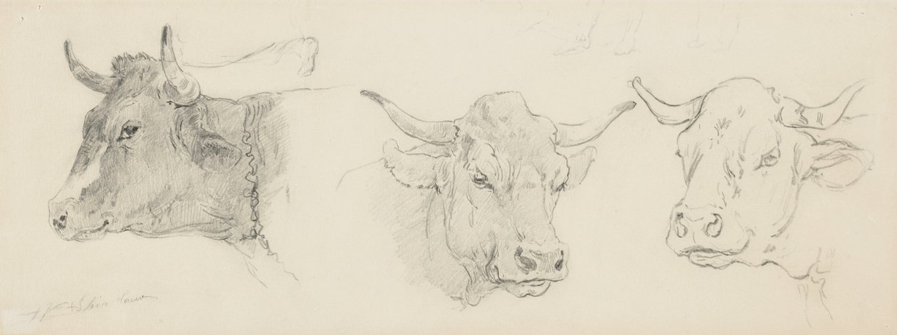 Koyun Kırkımı için sığır çalışması, 1872-77 (devetüyü dokuma kağıt üzerinde grafit) by Walter Shirlaw