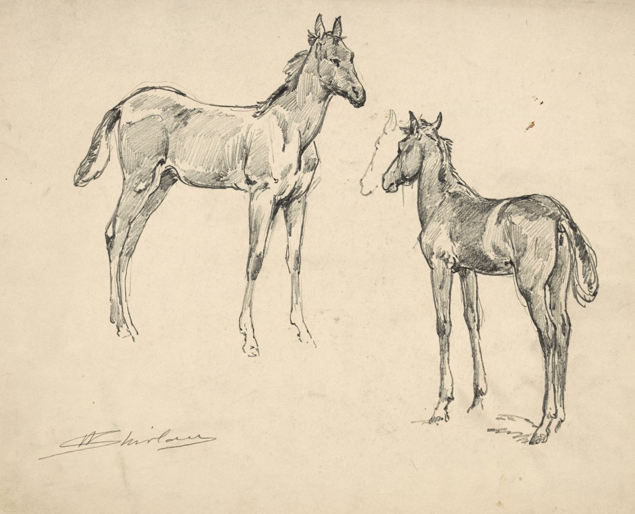 İki tay çalışması by Walter Shirlaw