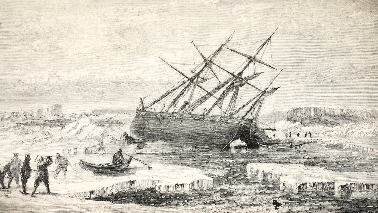 Buchan Adası yakınlarındaki Kayadaki Tilki, 1859 by Walter William May