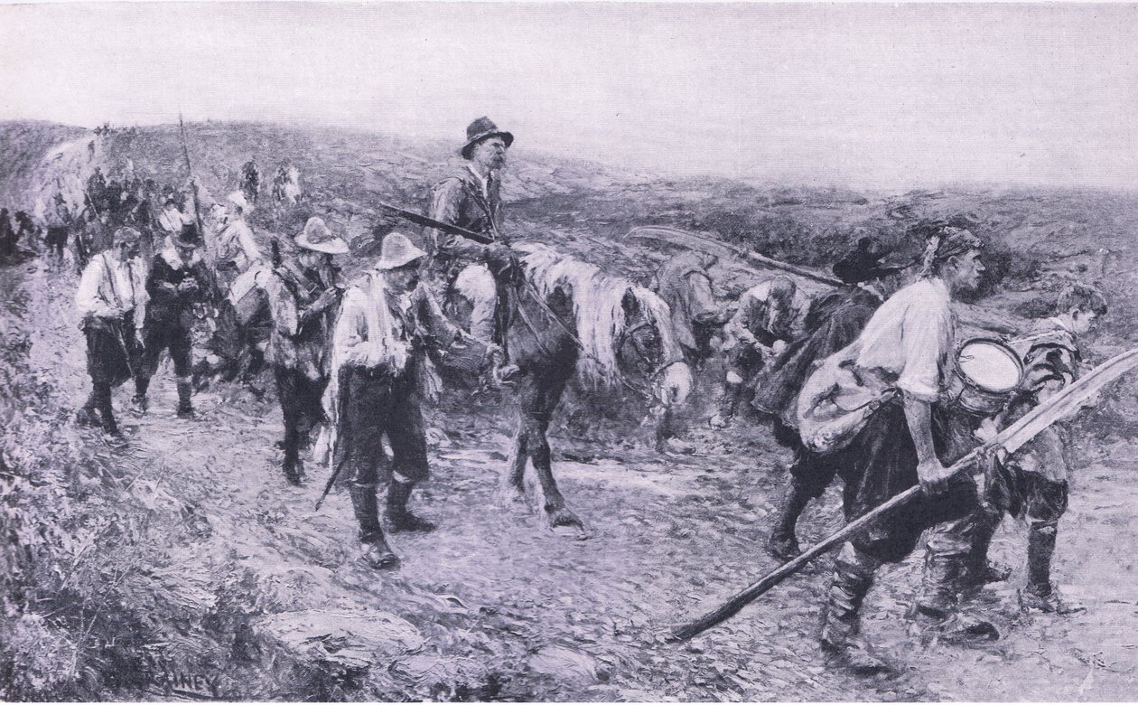 Sedgemoor