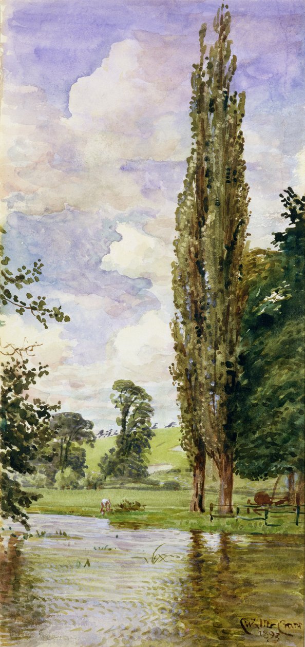 Avon