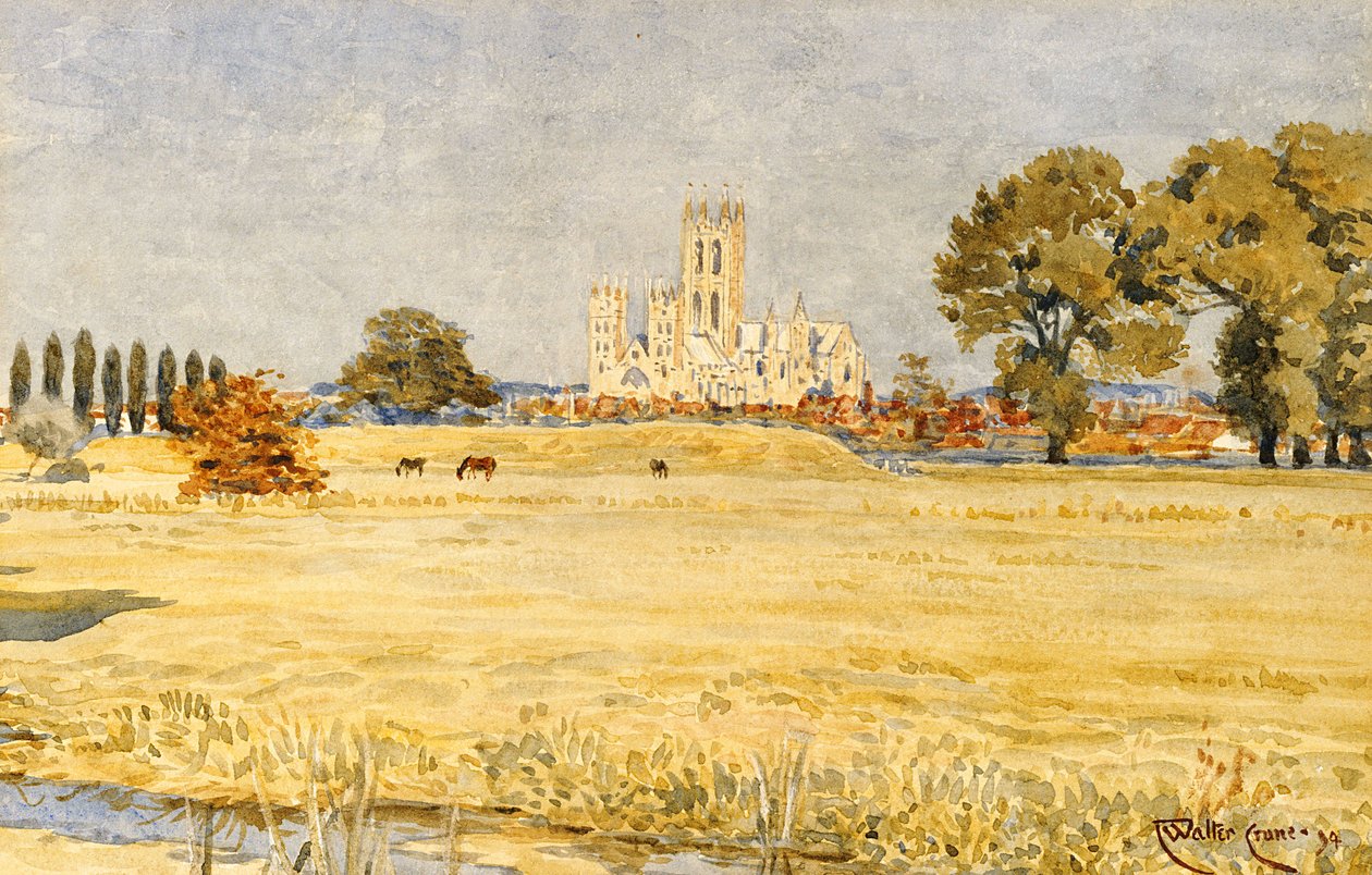 Meadows