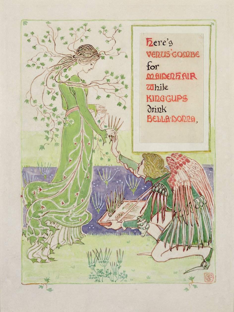 İşte Maidenhair için Venus' Combe, 1899 (kağıt üzerinde kalem ve tuvalet) by Walter Crane