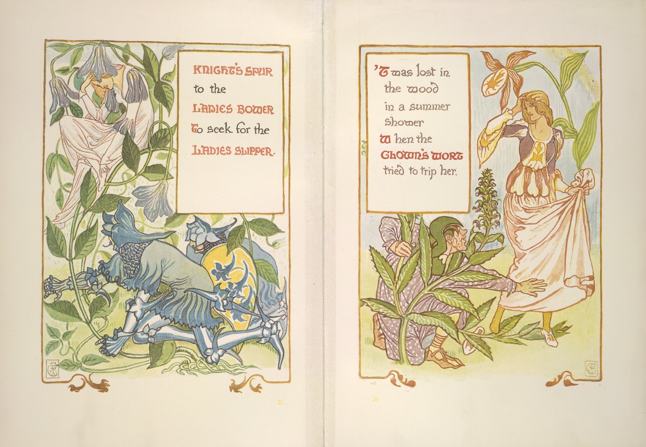Şövalye mahmuzu ve palyaço otu by Walter Crane