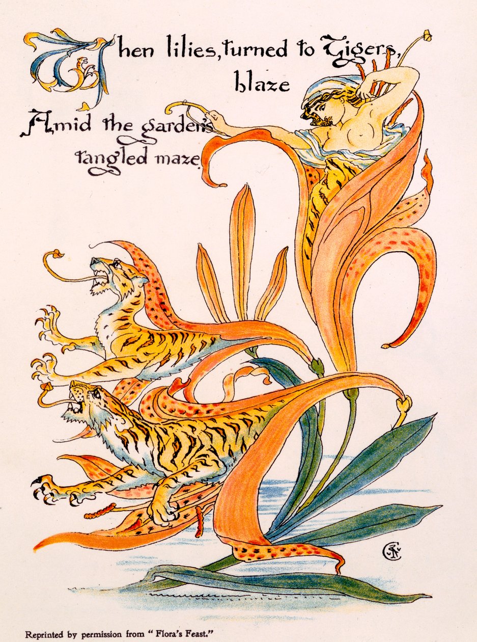 Kaplan Zambakları, Walter Crane tarafından 