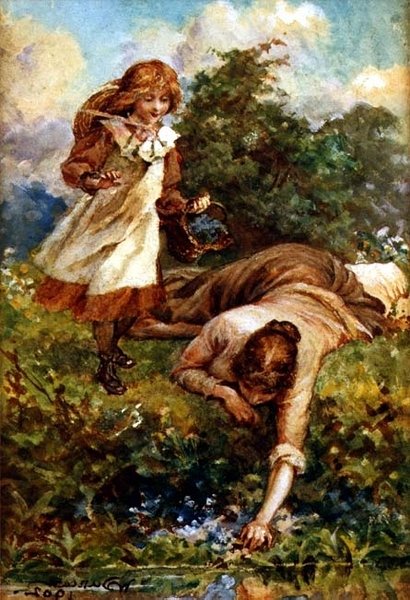 Bluebells Toplama by Walter Duncan