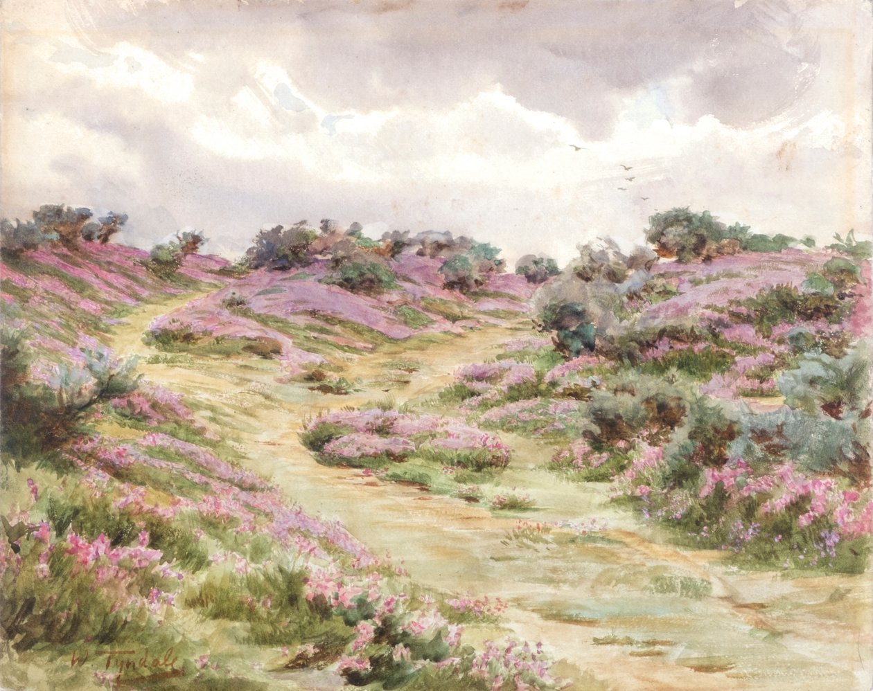  by Walter Frederick Roofe Tyndale