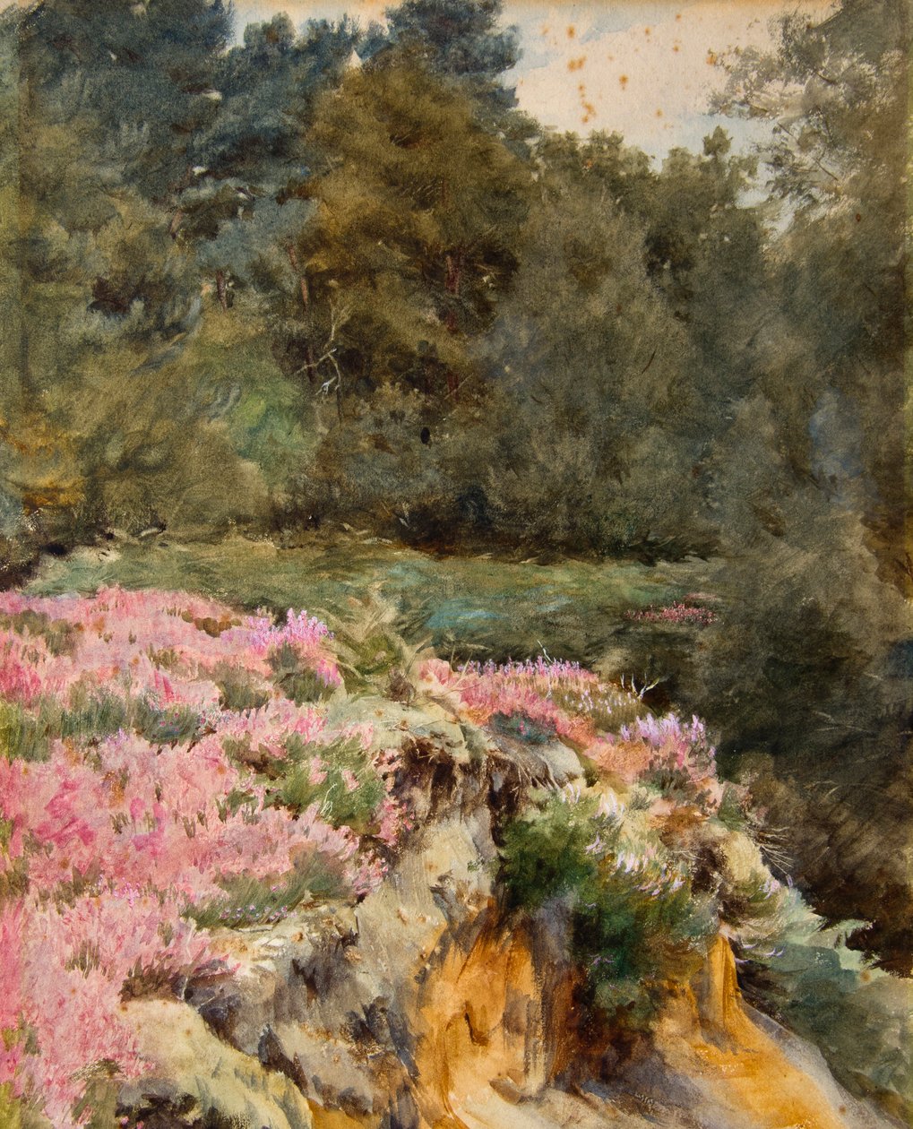  by Walter Frederick Roofe Tyndale