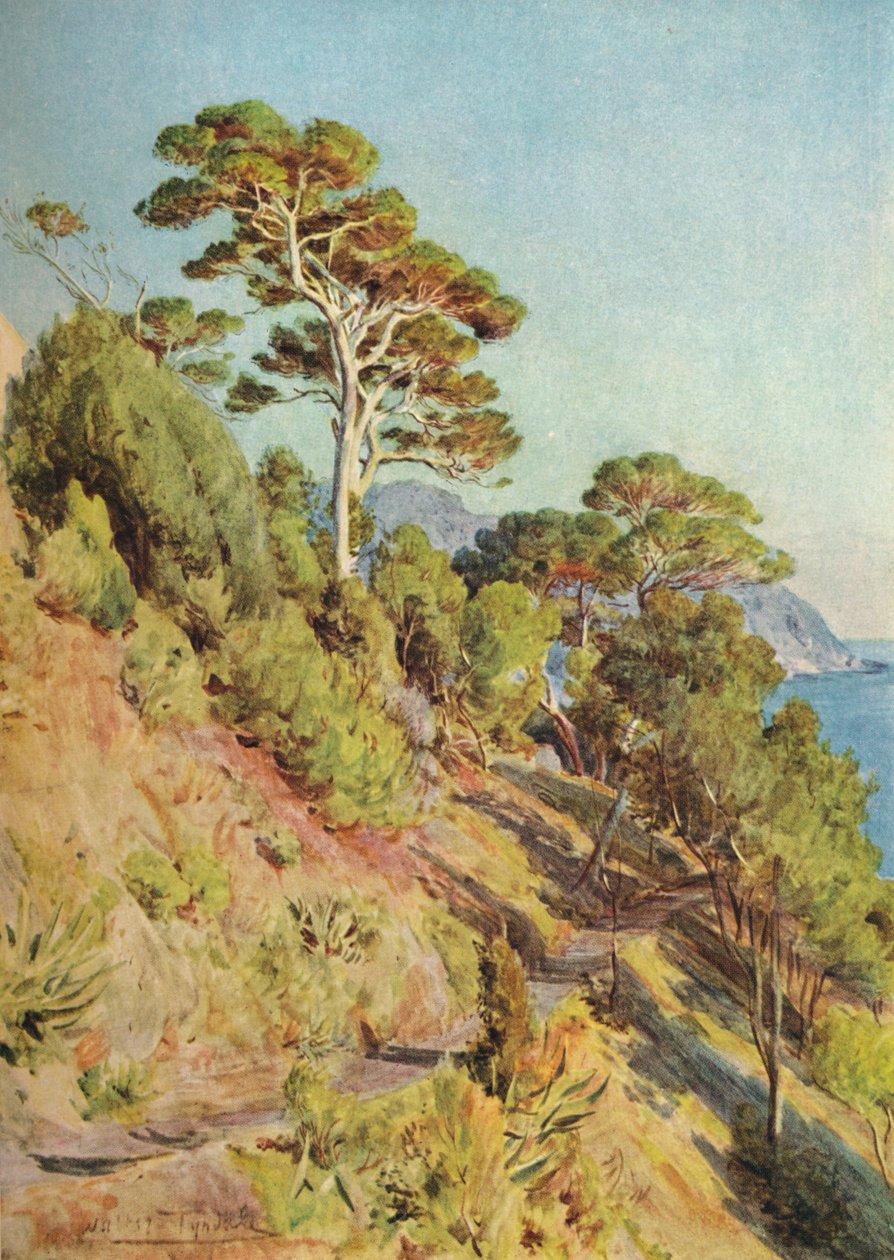Villa Piuma