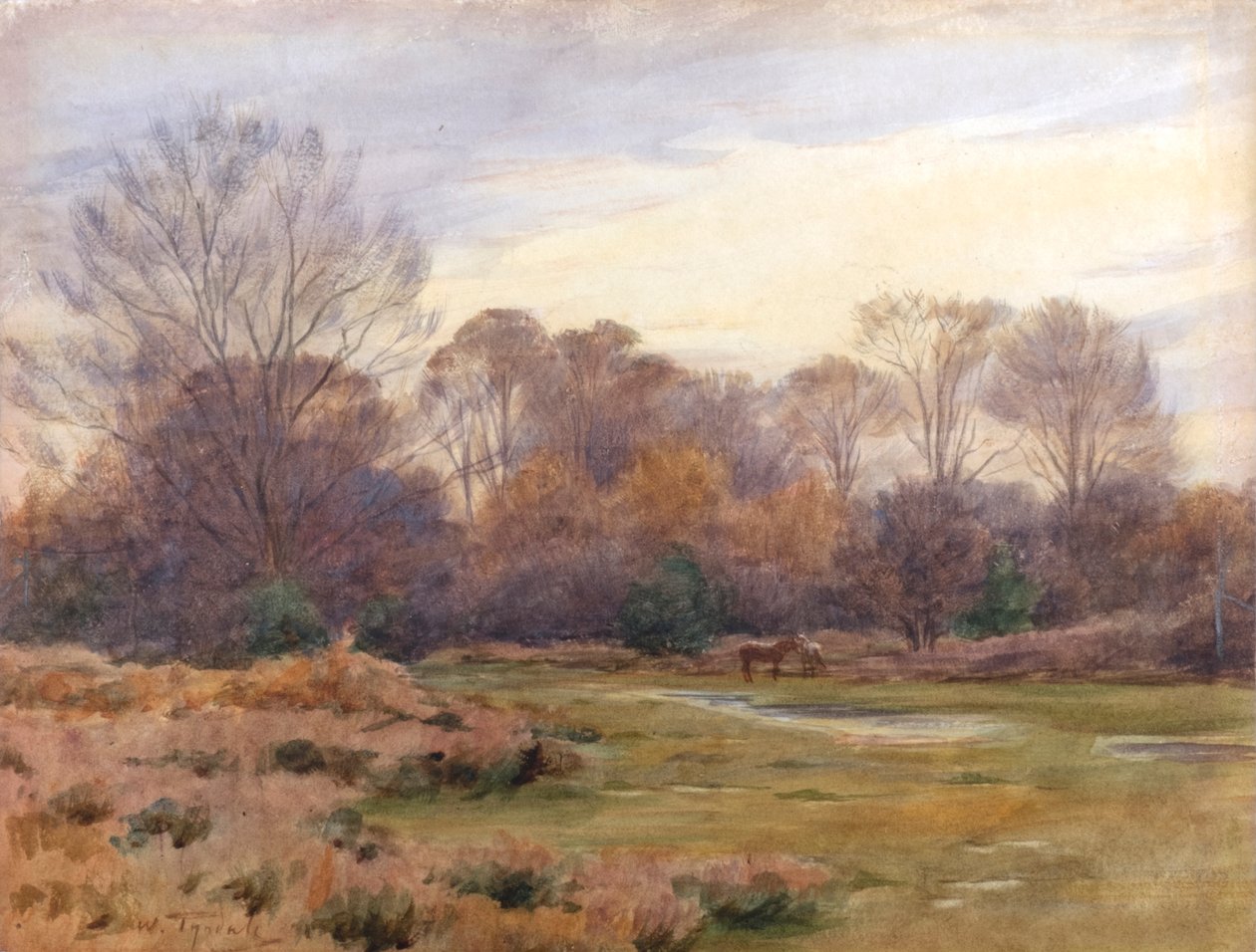  by Walter Frederick Roofe Tyndale