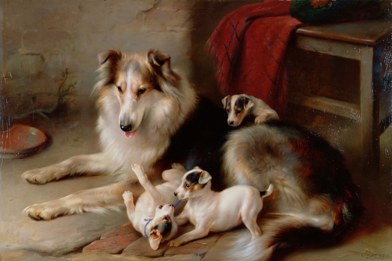 Tilki Terrier Yavrularıyla Bir Collie, 1913 by Walter Hunt