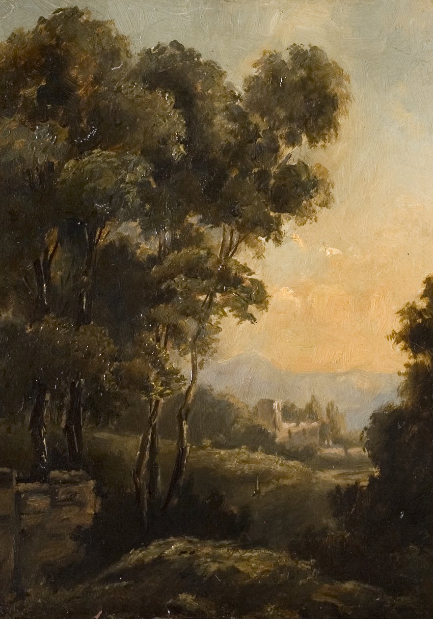 Bir Ağacın İncelenmesi (Richard Wilson