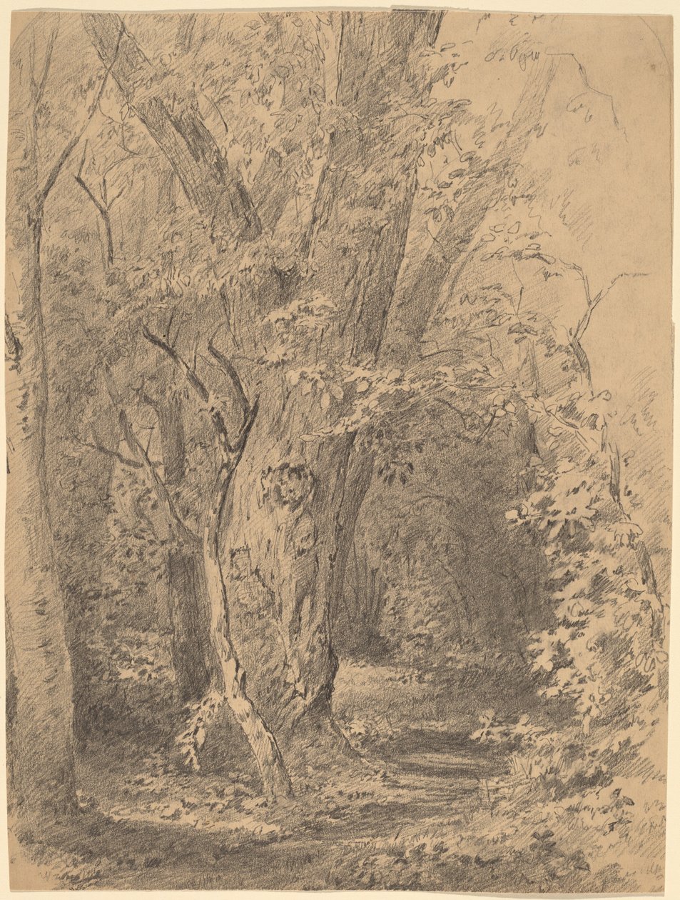 Ağaç ve Yeşillik by Walter Shirlaw