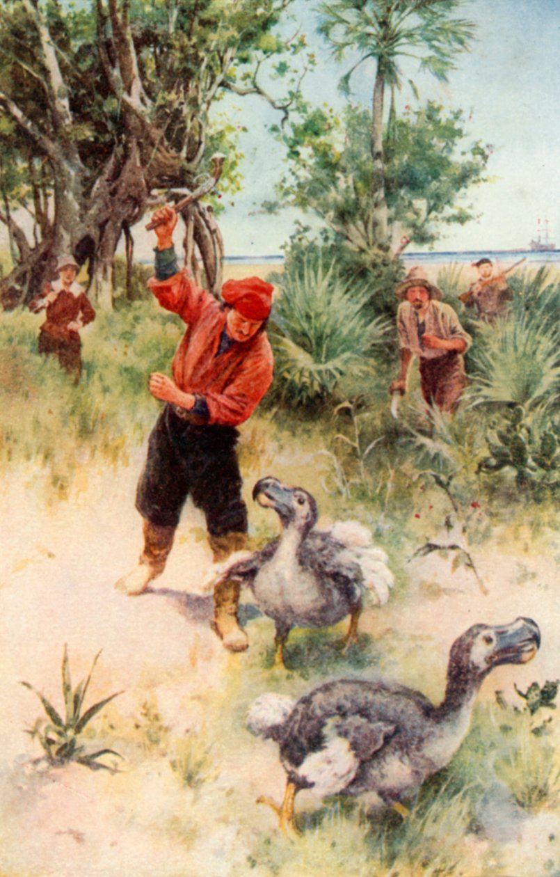 Dodos Peşindeki Hollandalı Denizciler (renkli taş baskı) by Walter Stanley Paget